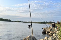 IMG_9328-scaled