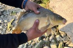 IMG_9331-scaled