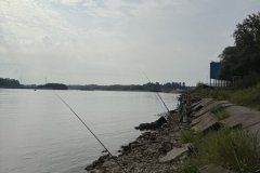 IMG_9828